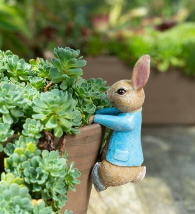 Beatrix Potter Peter Rabbit Hanging Plant Pot Hanger