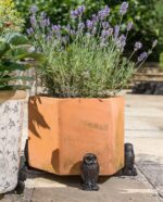 Tawny Owl Plant Pot Feet - Set of 3