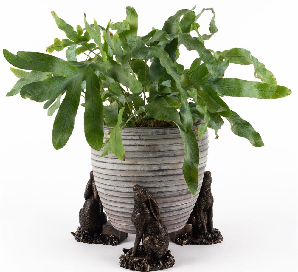 Moongazing Hare Plant Pot Feet - Set of 3 - Image 4