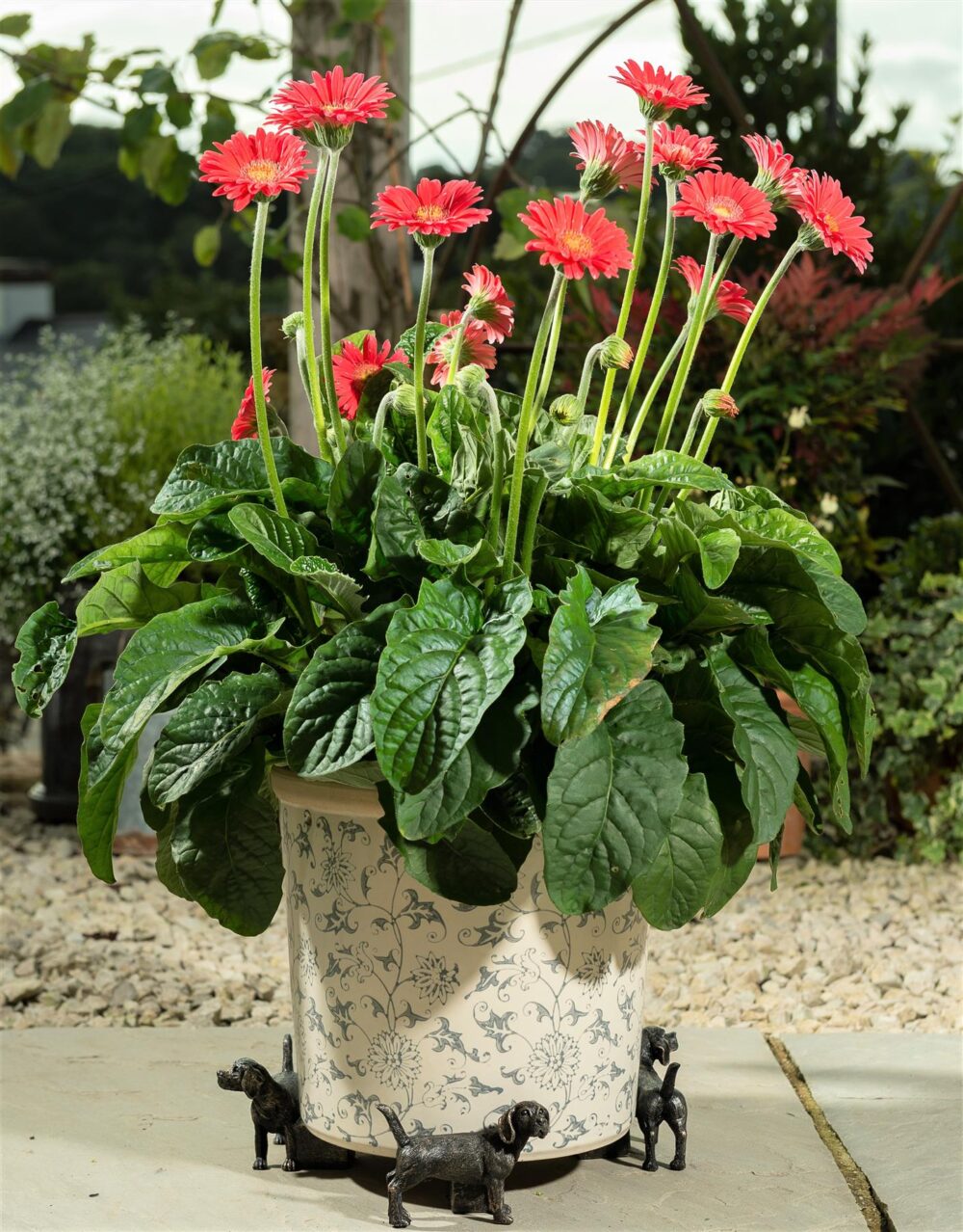 Beagle Plant Pot Feet - Set of 3 - Image 3