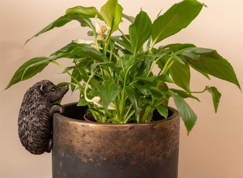 Hedgehog Plant Pot Hanger - Image 2