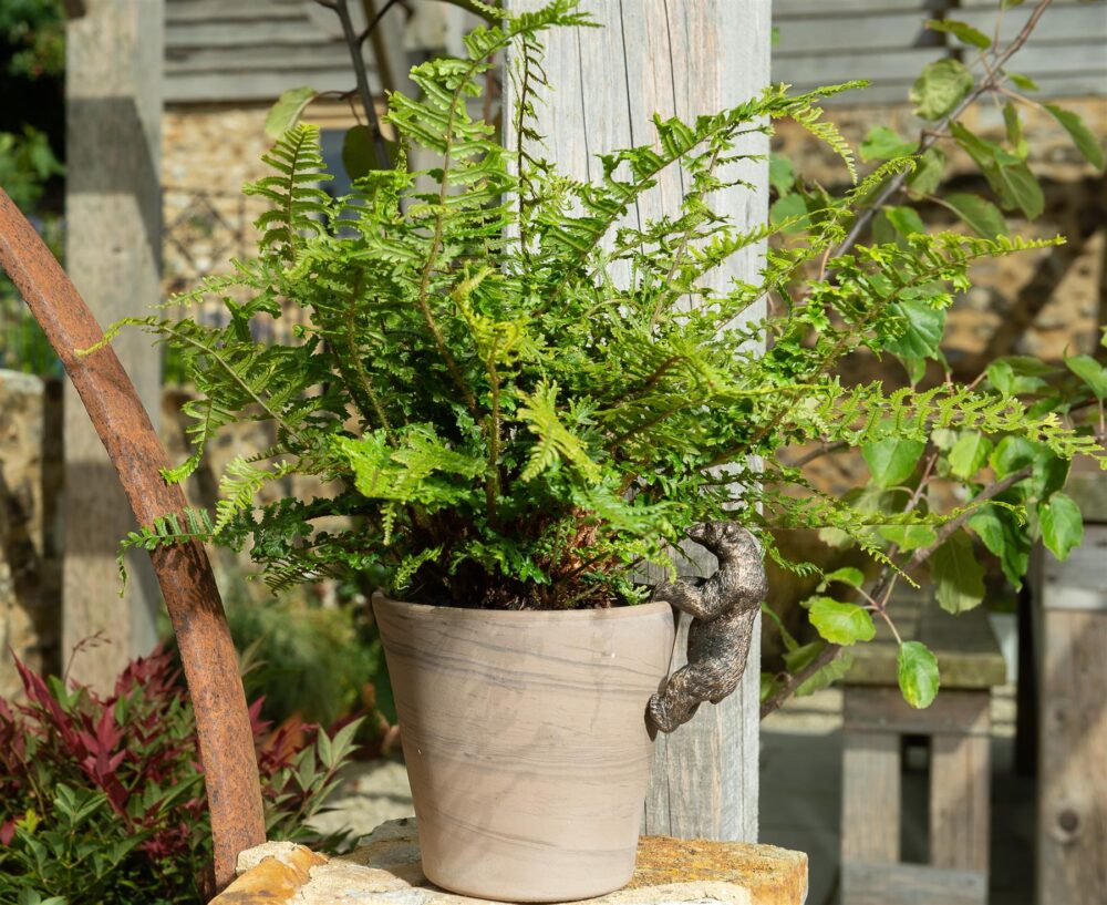 Polar Bear Plant Pot Hanger - Image 10