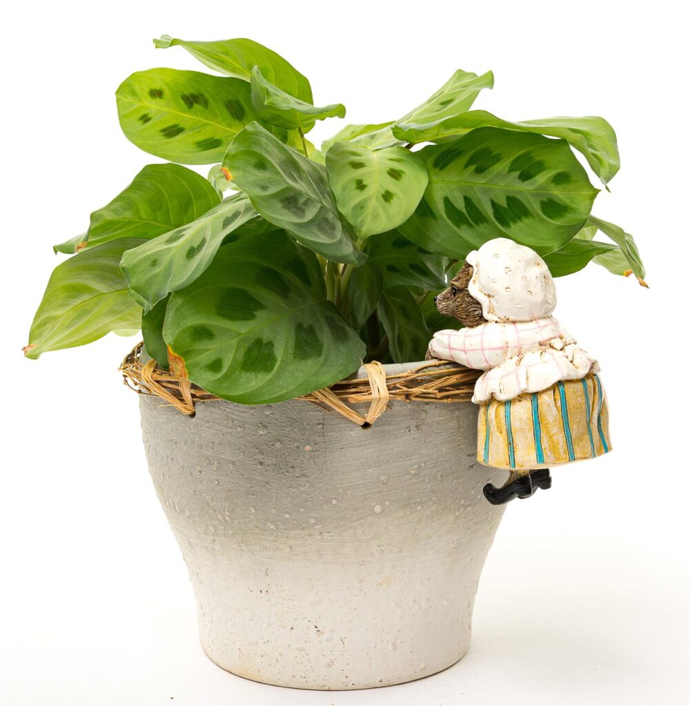 Beatrix Potter Mrs. Tiggy-Winkle Plant Pot Hanger - Image 7