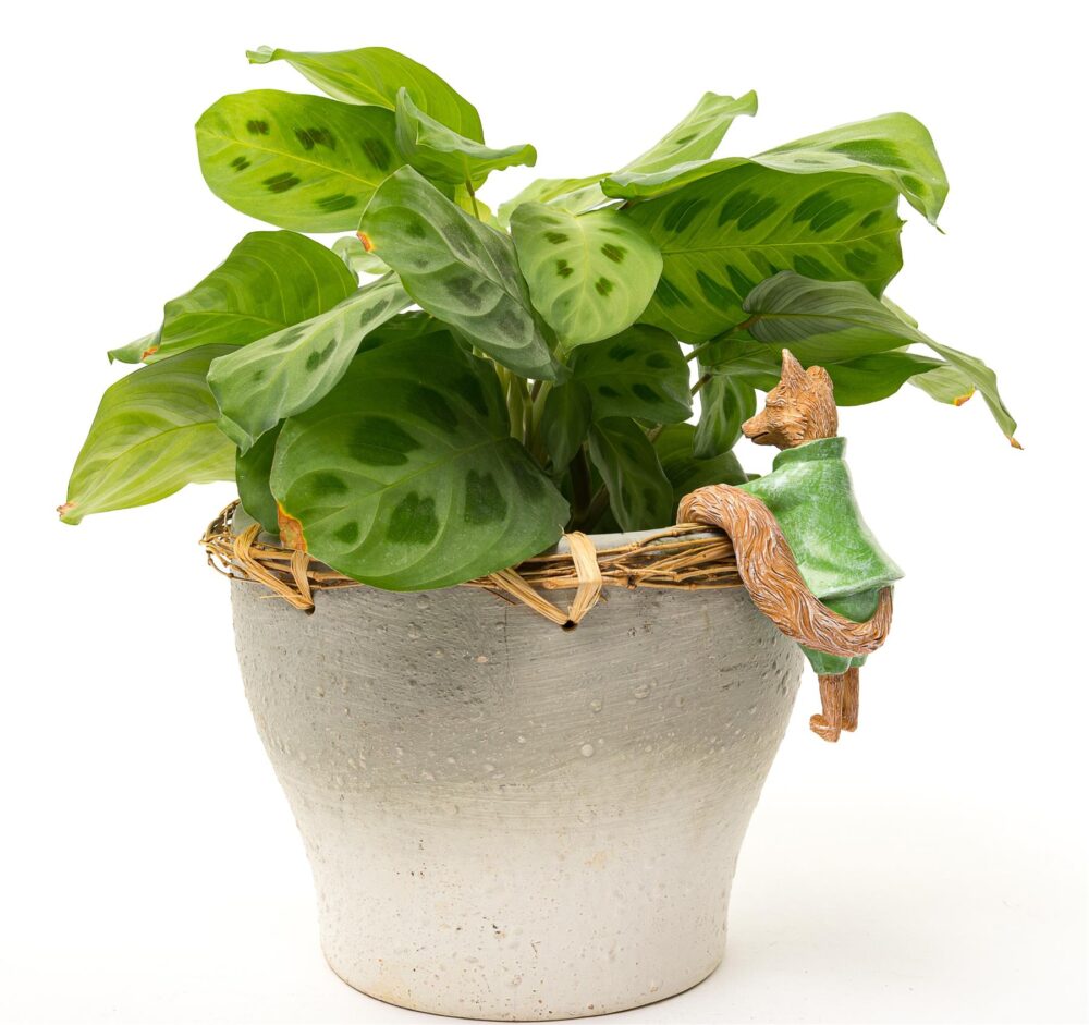 Beatrix Potter Mr. Tod Plant Pot Hanger - Image 8