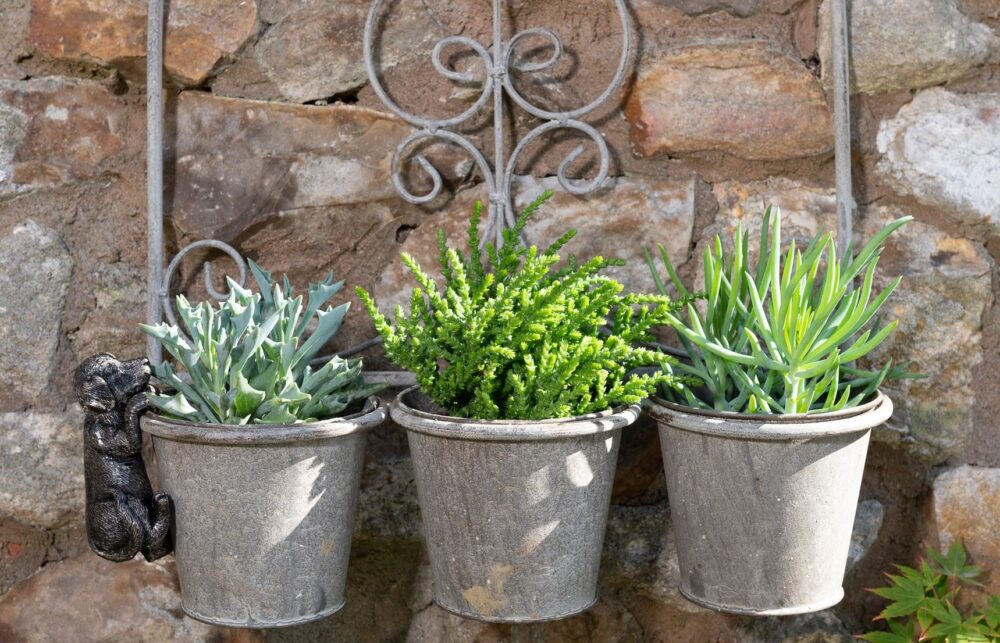 Labrador Plant Pot Hanger - Image 9
