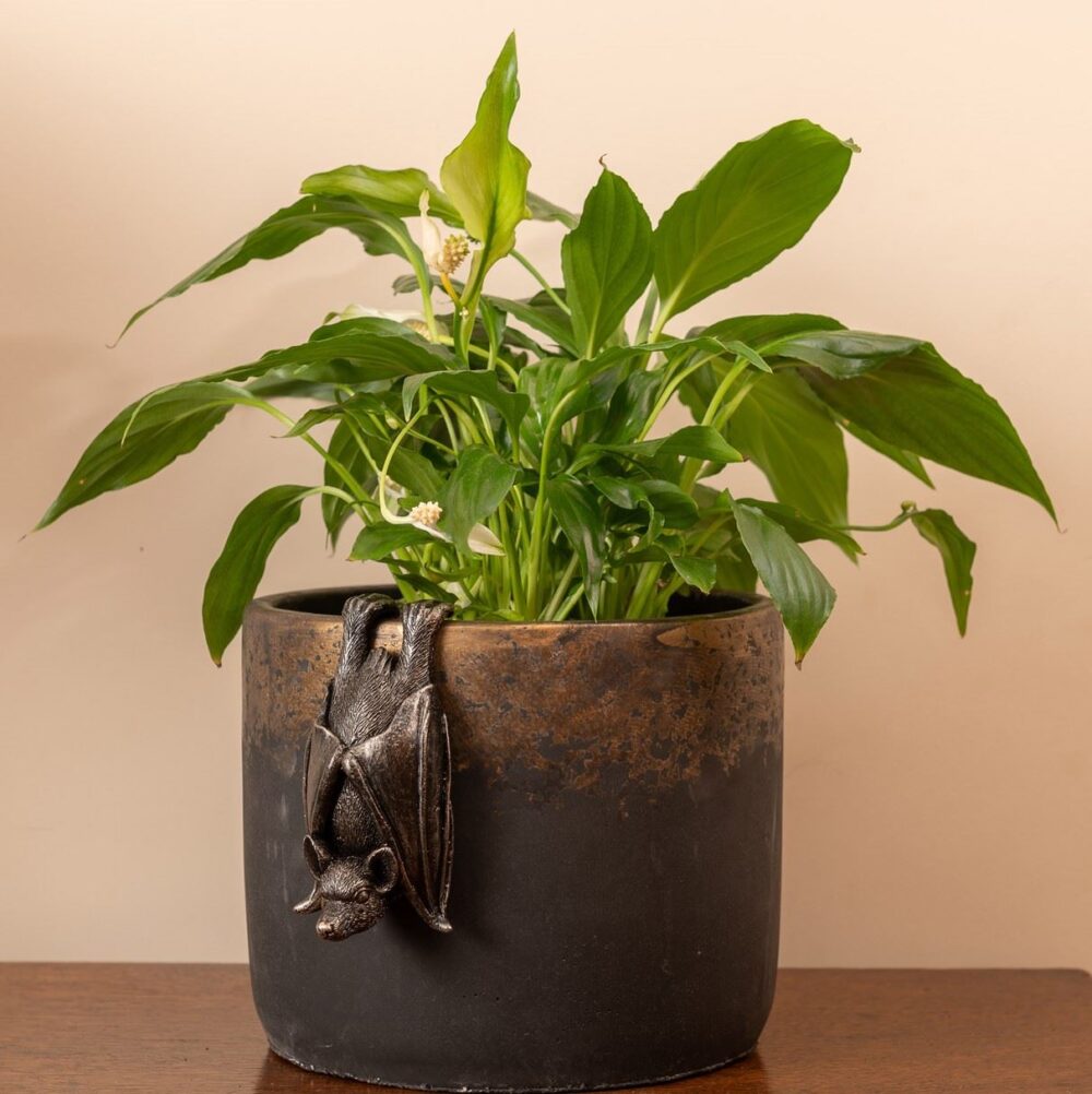 Bat Plant Pot Hanger - Image 7