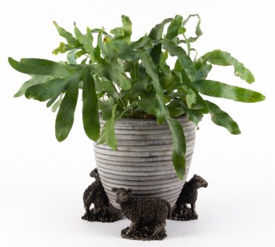 Sheep Plant Pot Feet - Set of 3