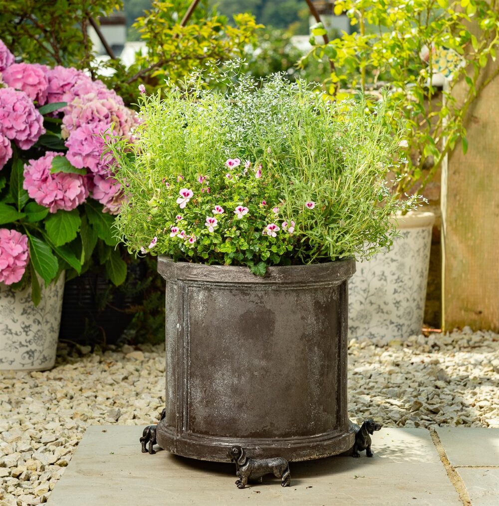 Dachshund Plant Pot Feet - Set of 3 - Image 5