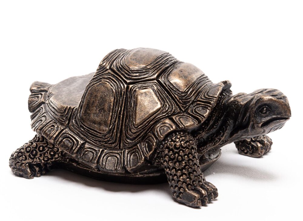 Tortoise Plant Pot Feet - Set of 3 - Image 6