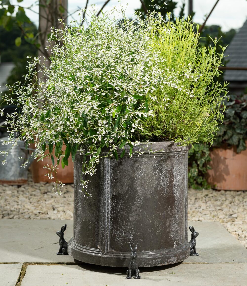 Large Sitting Hare Plant Pot Feet - Set of 3 - Image 6