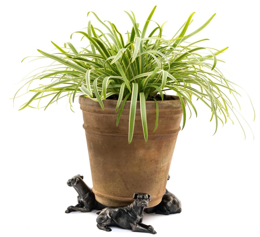 Boxer Dog Plant Pot Feet - Set of 3 - Image 3