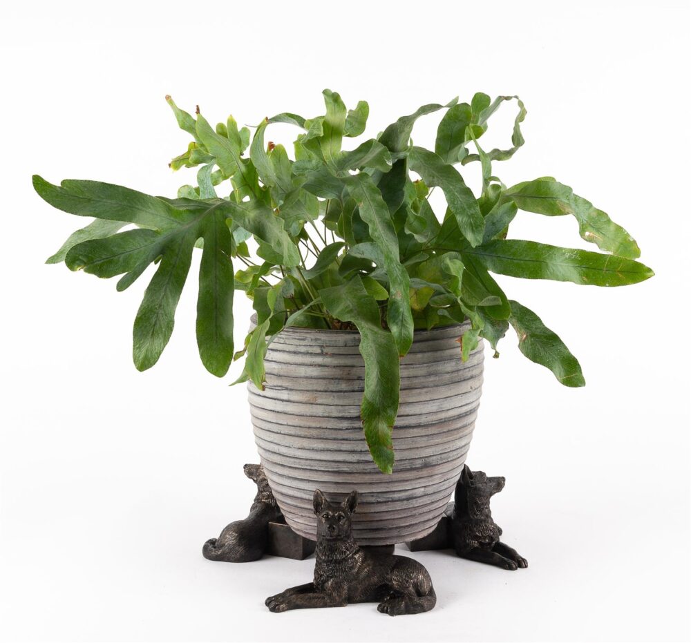 German Shepherd Plant Pot Feet - Set of 3 - Image 5