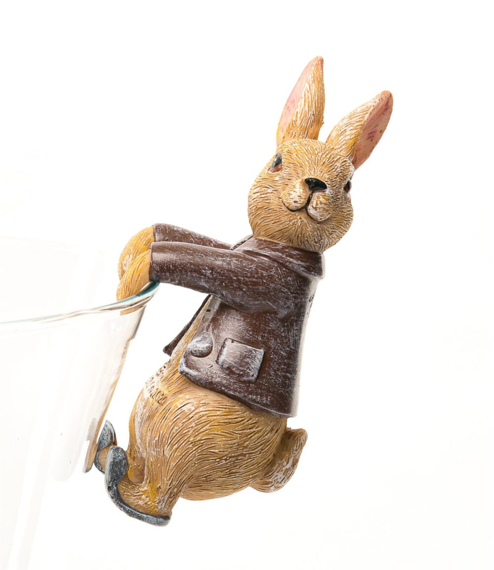 Beatrix Potter Benjamin Bunny Plant Pot Hanger - Image 6