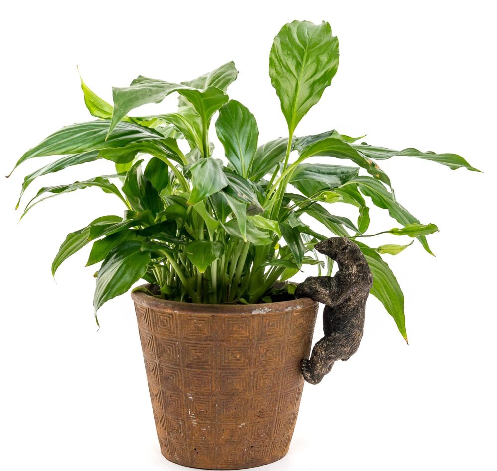 Polar Bear Plant Pot Hanger - Image 2