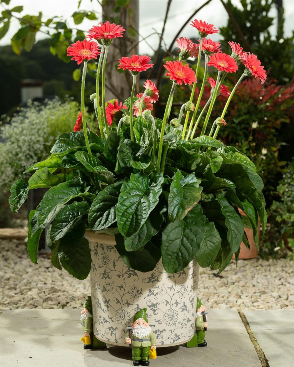 Standing Gnome With Watering Can Plant Pot Feet - Set of 3 - Image 3