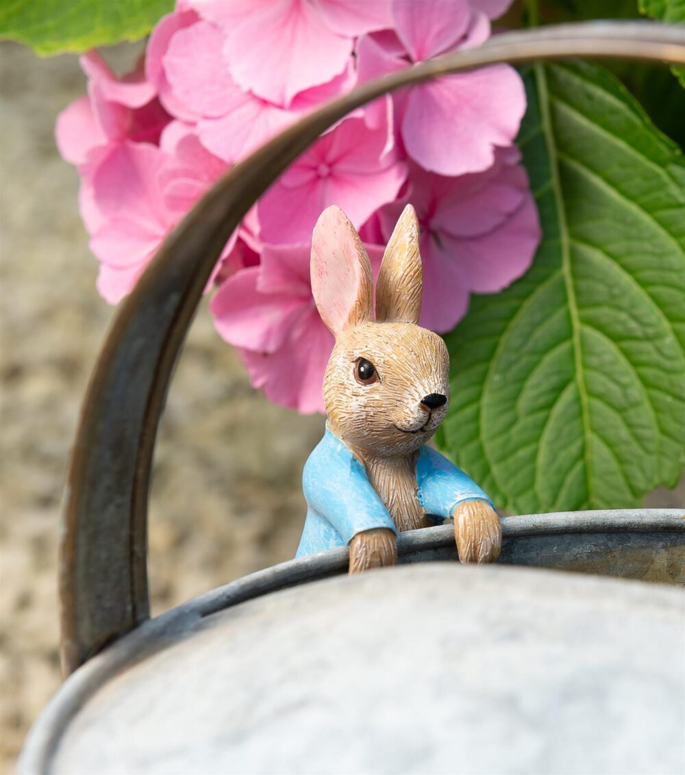 Beatrix Potter Peter Rabbit Hanging Plant Pot Hanger - Image 4