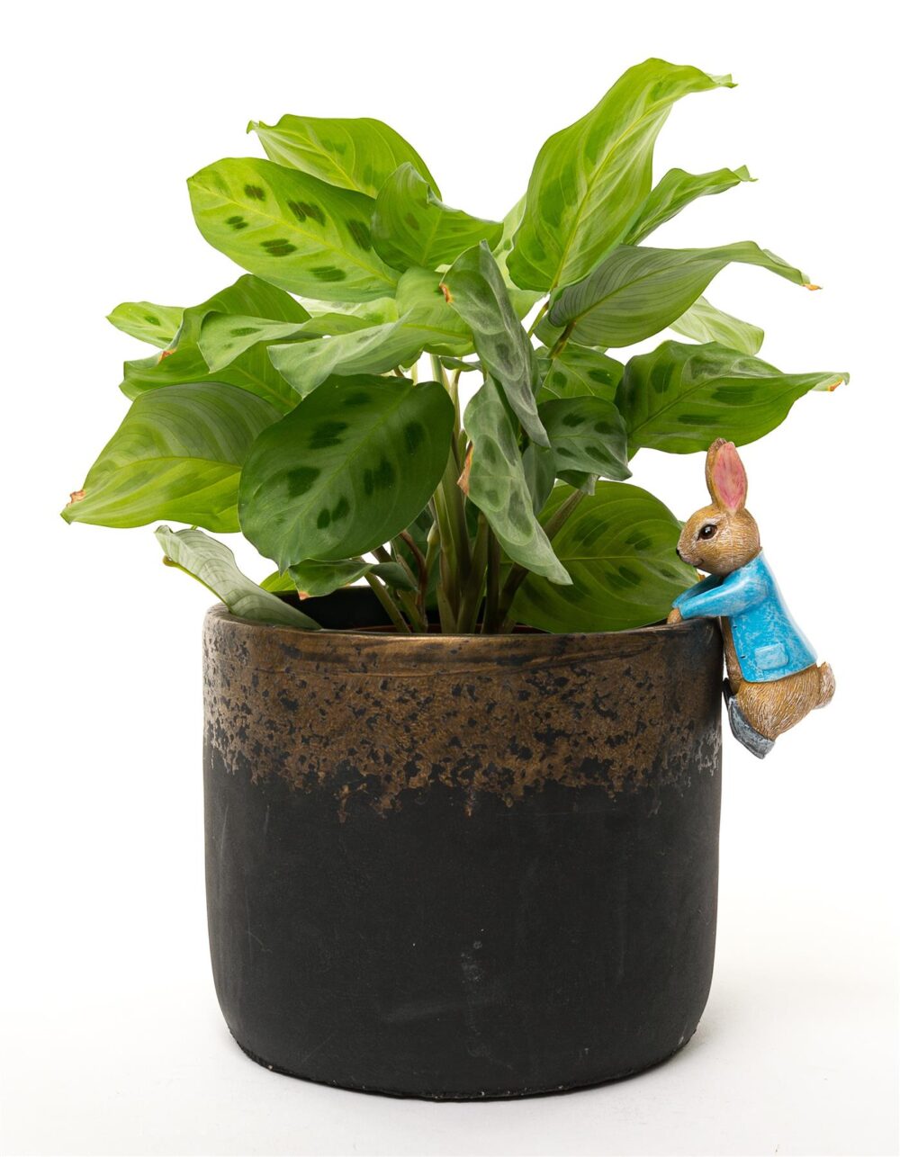 Beatrix Potter Peter Rabbit Hanging Plant Pot Hanger - Image 8