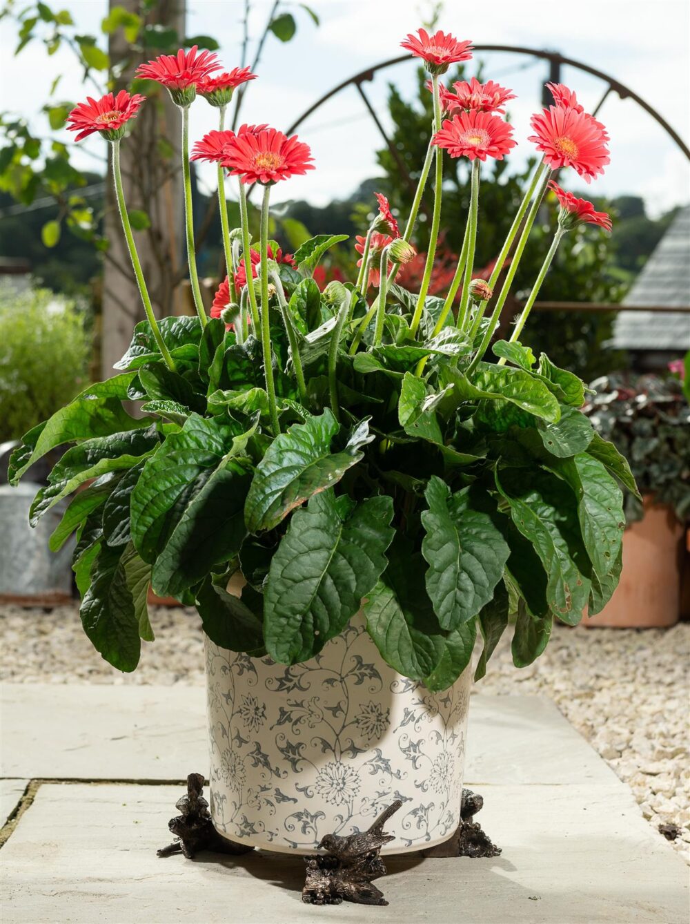 Robin Plant Pot Feet - Set of 3 - Image 5