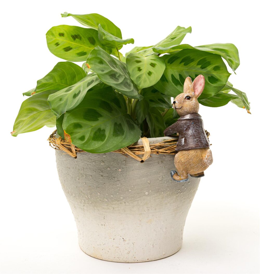 Beatrix Potter Benjamin Bunny Plant Pot Hanger - Image 3