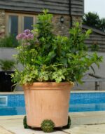 Green Man Plant Pot Feet - Set of 3