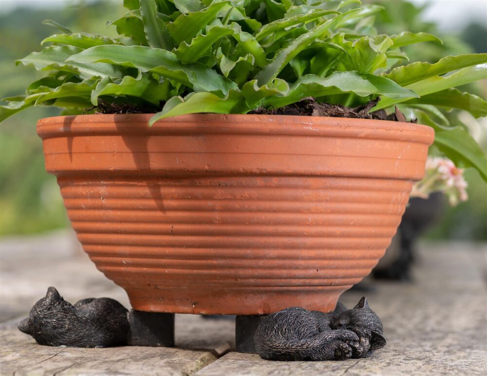 Sleeping Cat Curled Up Plant Pot Feet - Set of 3 - Image 3