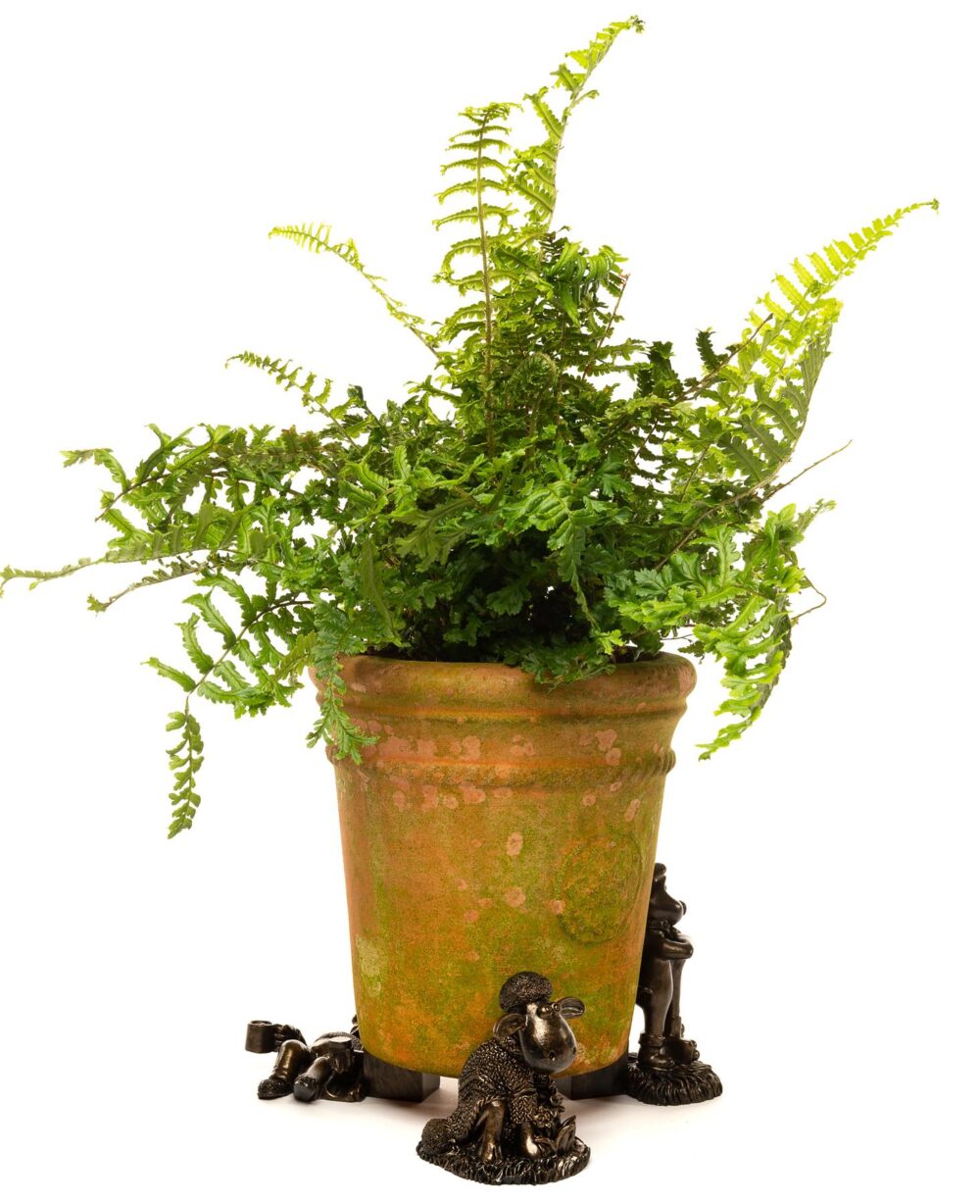 Wallace and Gromit Plant Pot Feet - Wallace, Grommit and Shaun the Sheep - Image 5