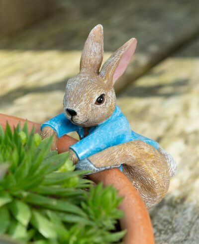 Beatrix Potter Peter Rabbit Climbing Plant Pot Hanger