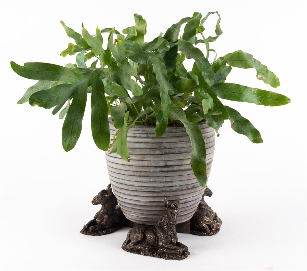 Donkey Foal Plant Pot Feet - Set of 3