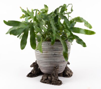 Donkey Foal Plant Pot Feet - Set of 3