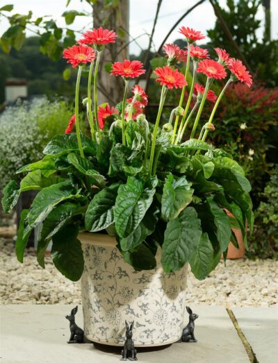 Small Brushed Silver Hare Plant Pot Feet - Set of 3