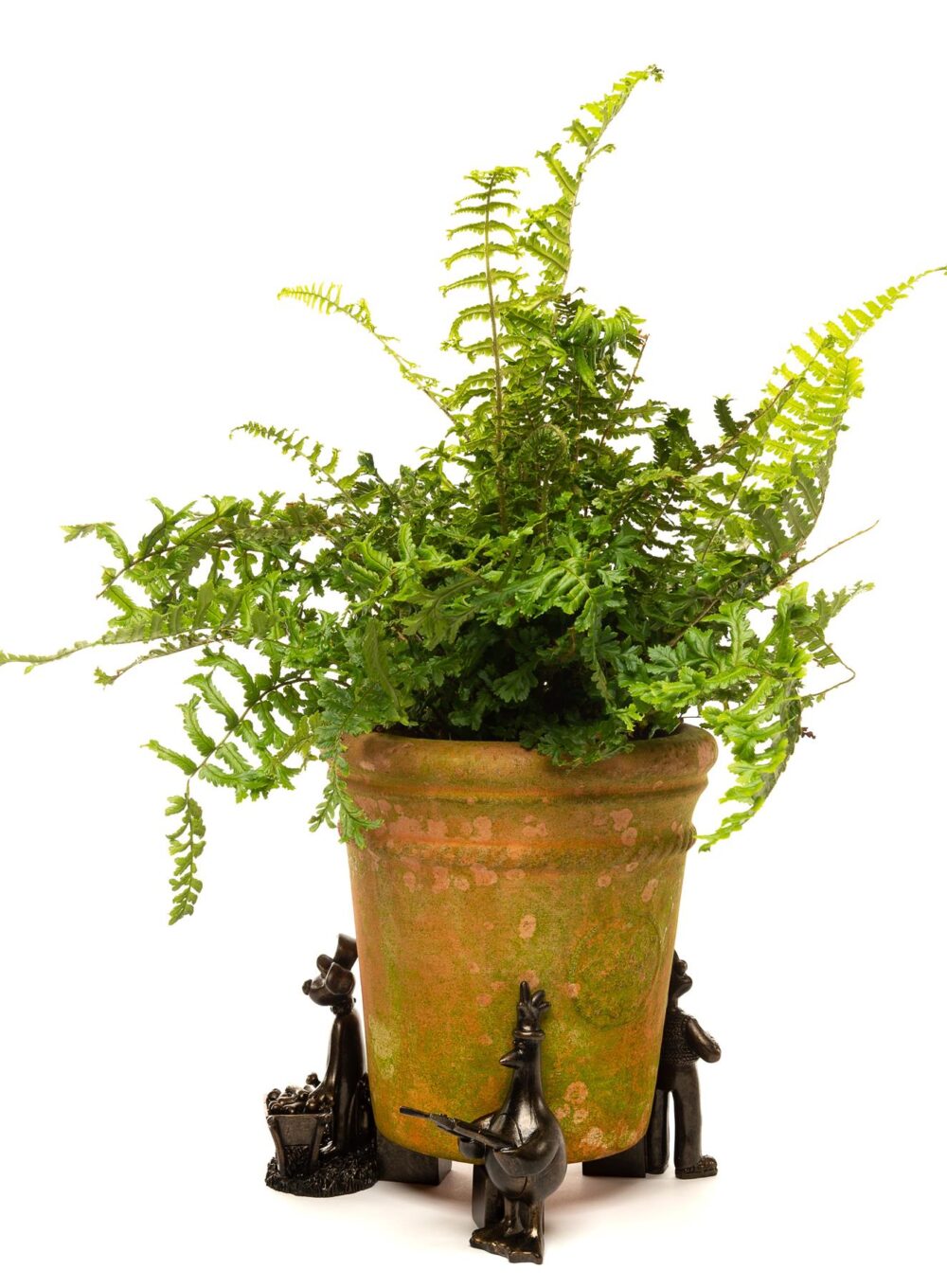 Wallace and Gromit Plant Pot Feet - Wallace, Gromit and Feathers McGraw