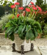 West Highland Terrier Plant Pot Feet - Set of 3