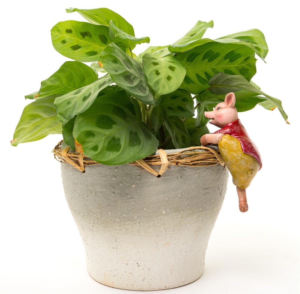 Beatrix Potter Pigling Bland Plant Pot Hanger - Image 9