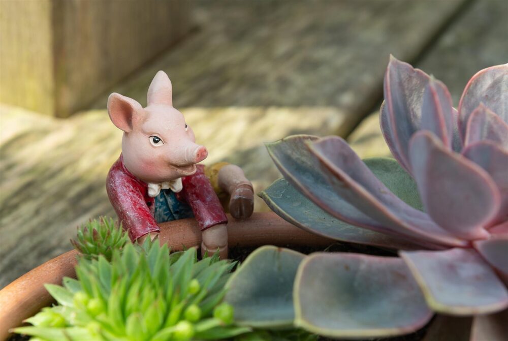 Beatrix Potter Pigling Bland Plant Pot Hanger - Image 4