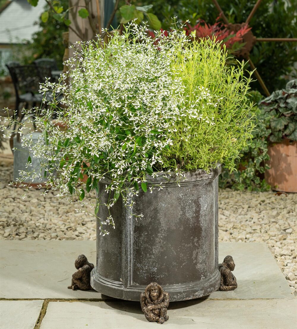 Orangutan Plant Pot Feet - Set of 3 - Image 5