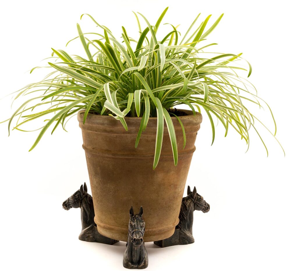 Horse Plant Pot Feet - Set of 3 - Image 7