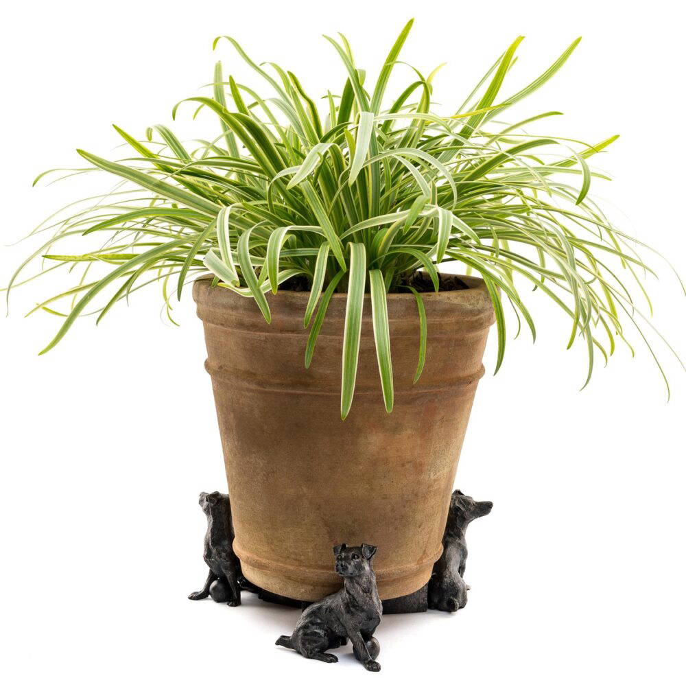 Jack Russell Terrier Plant Pot Feet - Set of 3 - Image 3