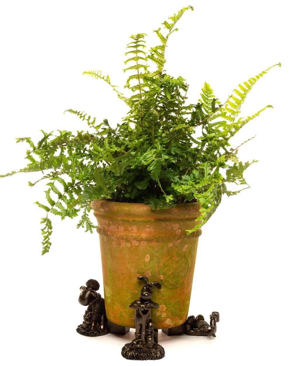 Wallace and Gromit Plant Pot Feet - Wallace, Grommit and Shaun the Sheep