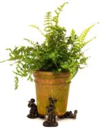 Wallace and Gromit Plant Pot Feet - Wallace, Grommit and Shaun the Sheep