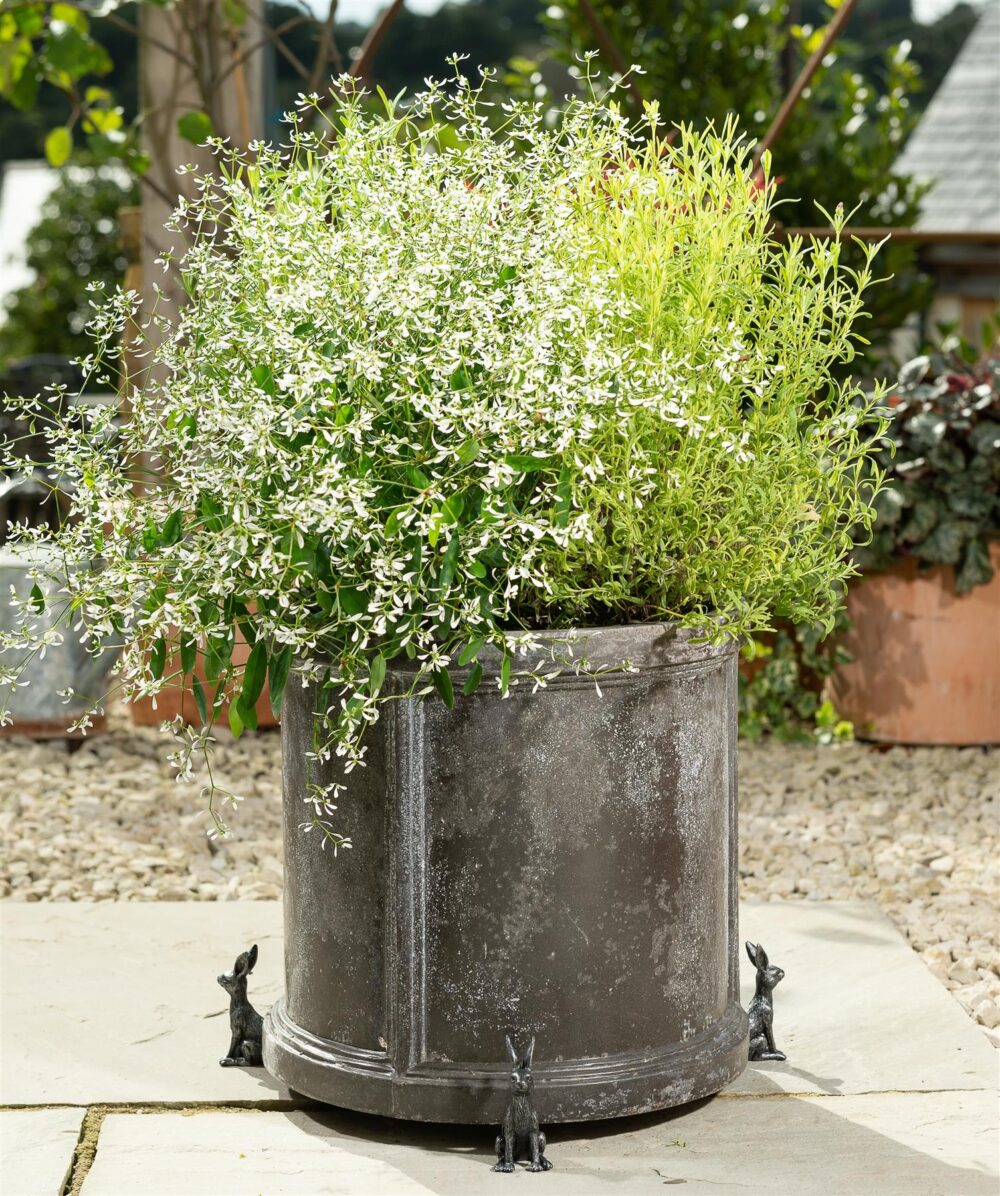Small Brushed Silver Hare Plant Pot Feet - Set of 3 - Image 3