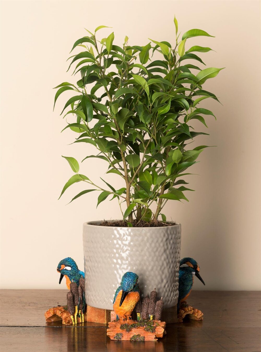 Kingfisher Plant Pot Feet - Set of 3 - Image 3
