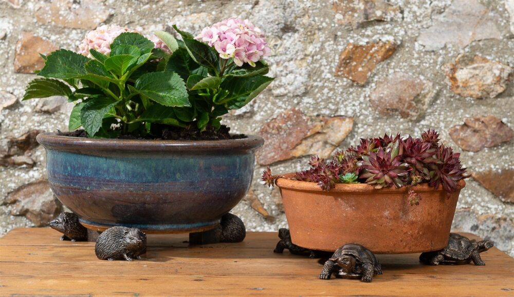 Tortoise Plant Pot Feet - Set of 3 - Image 7