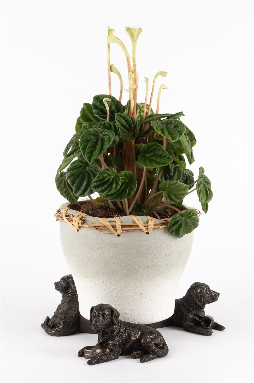 Resting Labrador Plant Pot Feet - Set of 3 - Image 6