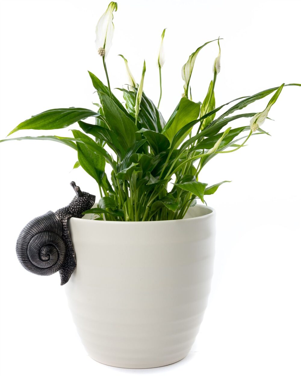 Snail Plant Pot Hanger - Image 4
