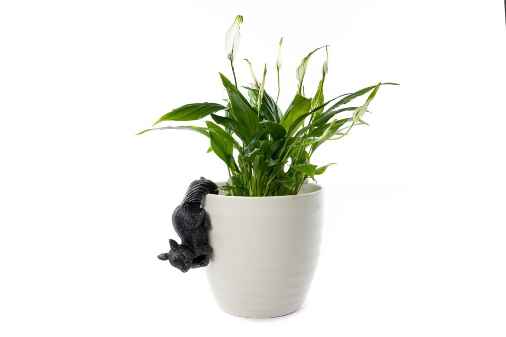 Red Squirrel Plant Pot Hanger - Image 7