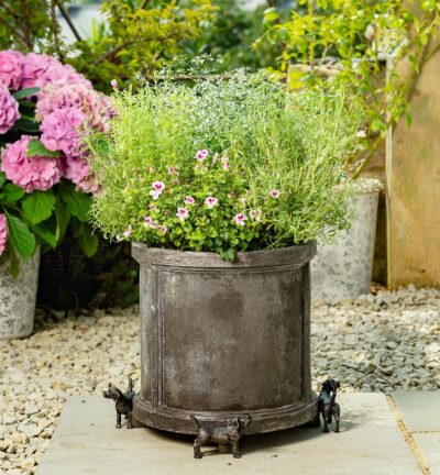 Beagle Plant Pot Feet - Set of 3