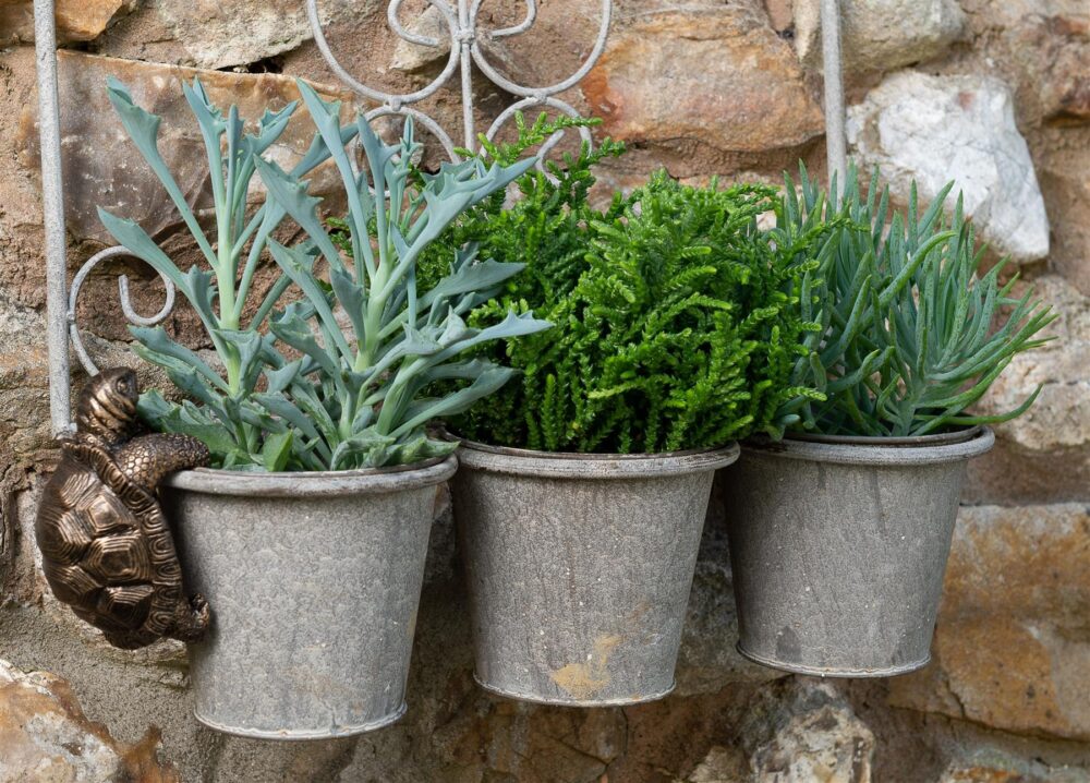 Tortoise Plant Pot Hanger - Image 5