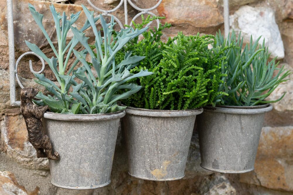 Meerkat Plant Pot Hanger - Image 4