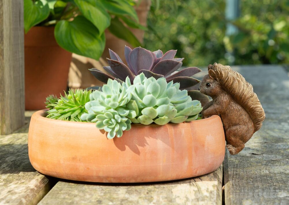 Beatrix Potter Squirrel Nutkin Plant Pot Hanger - Image 5