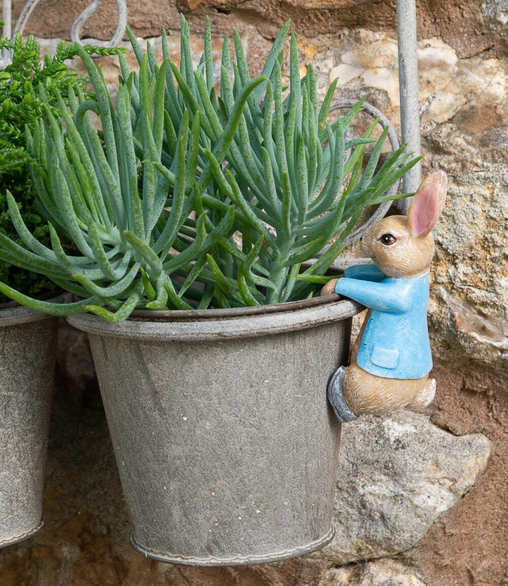 Beatrix Potter Peter Rabbit Hanging Plant Pot Hanger - Image 3
